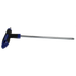 Sealey Security TRX-Star* / TRX-Star* Key T45 x 200mm