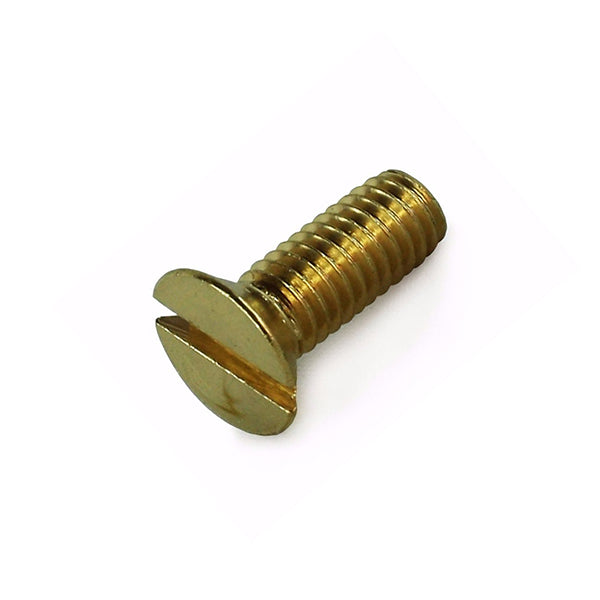 Floor Spring Cover Plate Screw