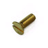 Floor Spring Cover Plate Screw