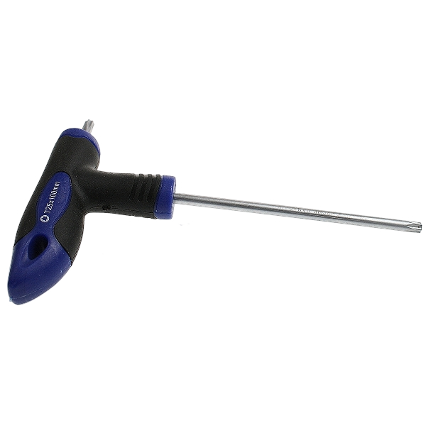 Sealey Security TRX-Star* / TRX-Star* Key T25 x 100mm